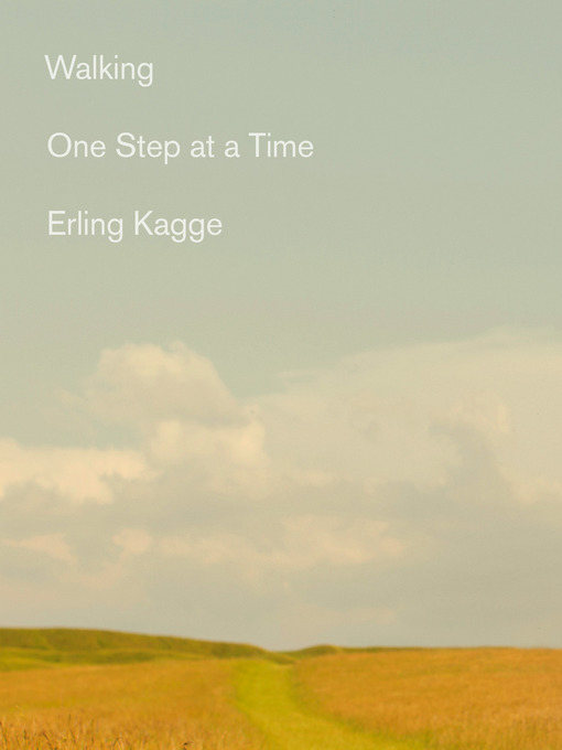 Title details for Walking by Erling Kagge - Wait list
